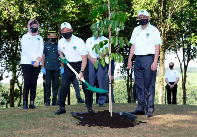 PM-Tree-Planting Campaign